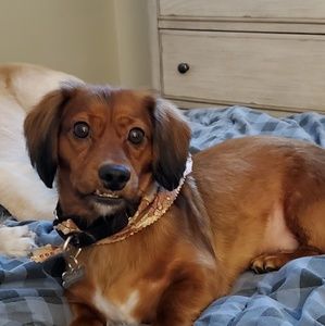 Meet your Posher, Miranda